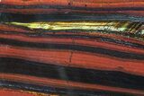 Polished Tiger Iron Stromatolite - ( Billion Years) #75827-1
